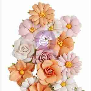 Luna 661052 prima flowers