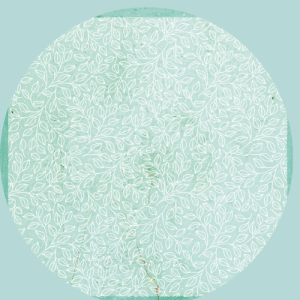 Mintay Decorative Vellum & Stickers