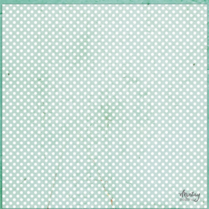 12 x 12 Decorative Vellum Dots