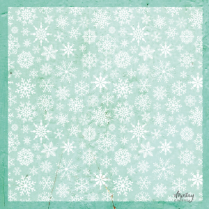 12 x 12 Decorative Vellum Snowflakes