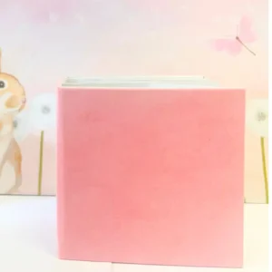 Strawberry Petite Memory Album 4x4